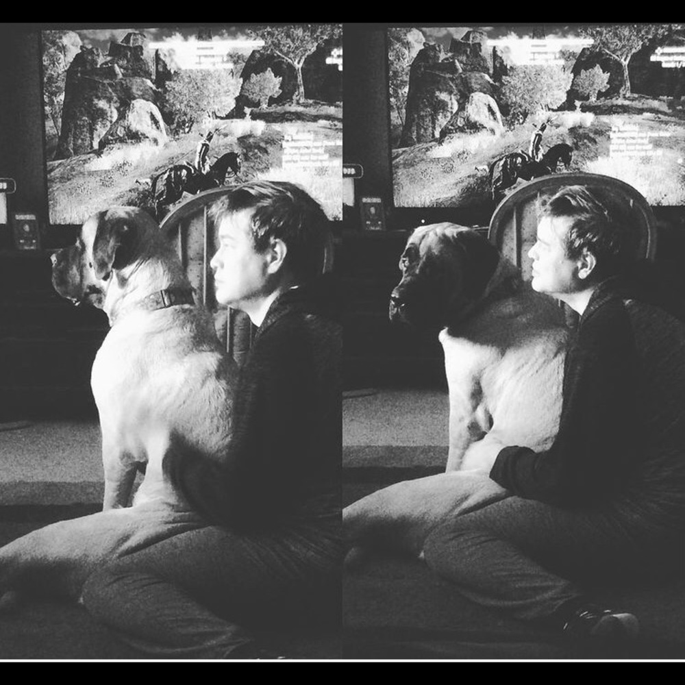 🥰 Jorja says HAPPY POSHING 🥰 - Picture 4 of 4